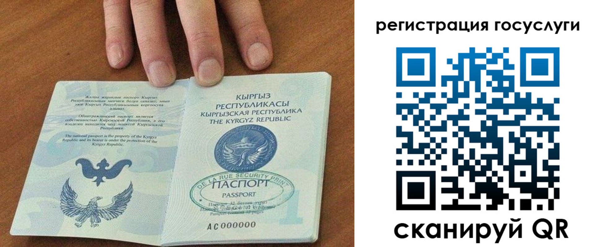 прописка ребенка в Волгореченске